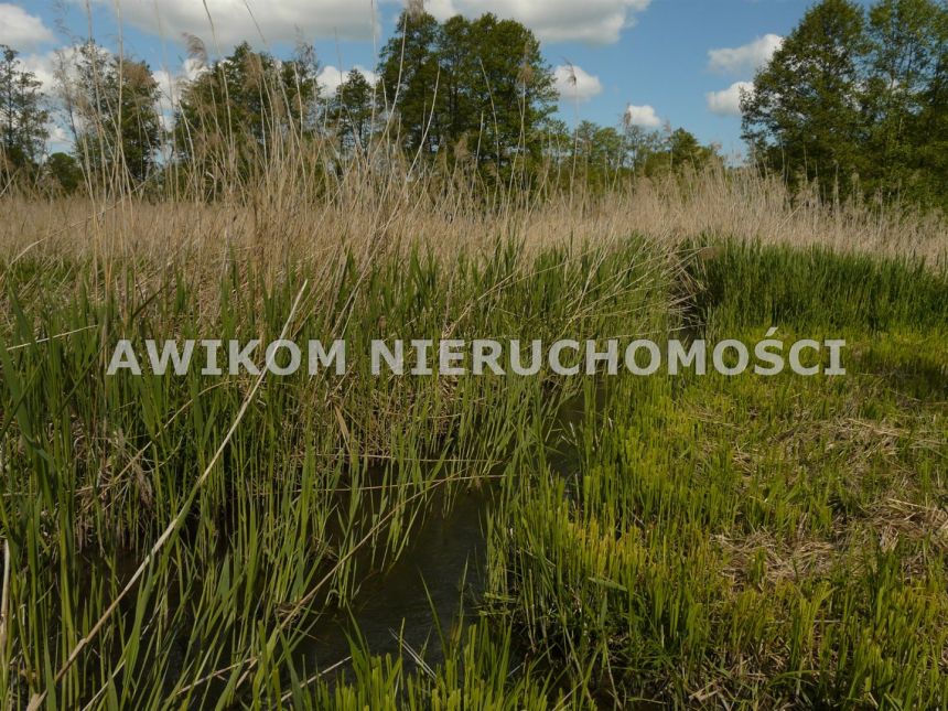 Sewerynów, 110 000 zł, 15 ar, przyłącze elektryczne miniaturka 13