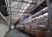 Praga Północ: magazyn 300 m2 miniaturka 4