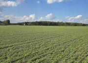 Skrzynka, 83 000 zł, 9.98 ar, rekreacyjna miniaturka 2