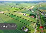 Na sprzedaż – Działki rolne w Gołaszewie miniaturka 1
