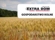 Kościuszki 269 000 zł 1.67 ha miniaturka 1