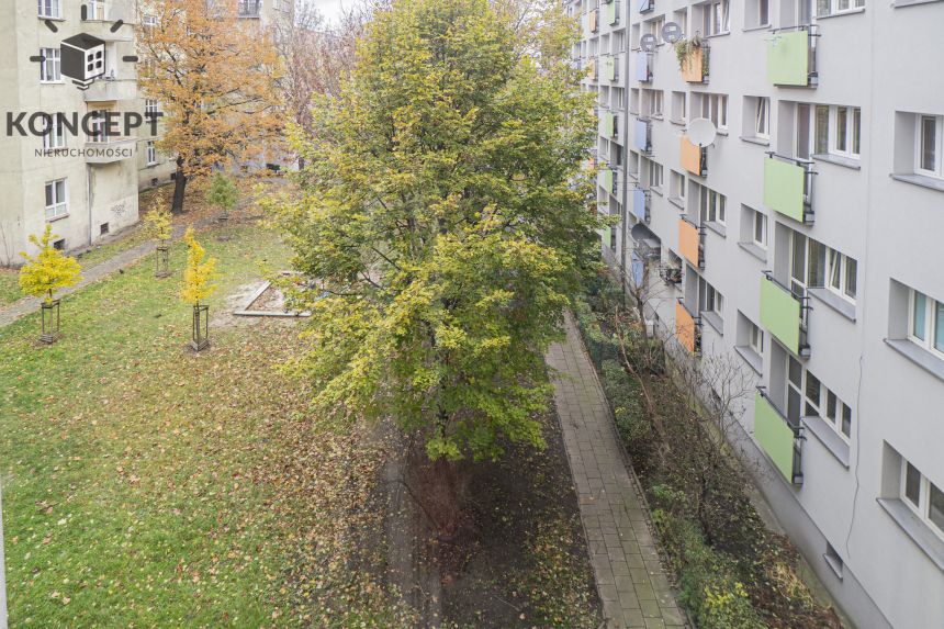 2pok | Rozkład | Możliwość 3 pokoi | 3 km do Rynku miniaturka 11