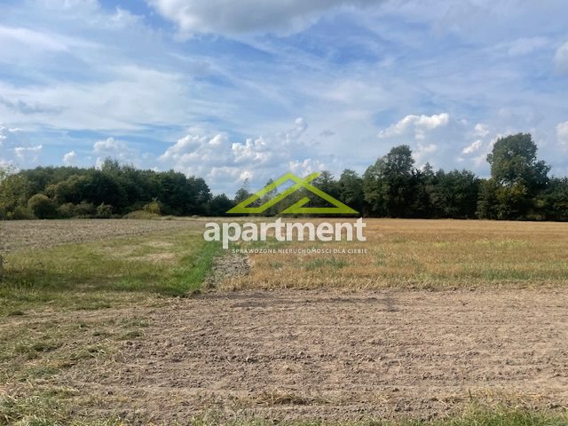 Radgoszcz, 249 000 zł, 5.32 ha, przyłącze wodociągu miniaturka 27