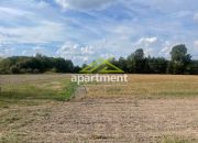 Radgoszcz, 249 000 zł, 5.32 ha, przyłącze wodociągu miniaturka 27