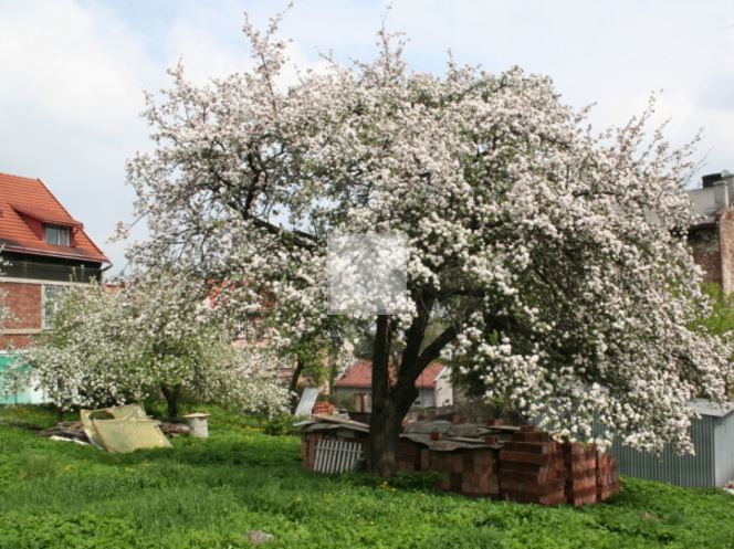 Działka budowlana w centrum Przemyśla miniaturka 3