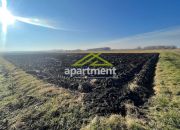 Sępichów, 72 000 zł, 2.08 ha, rolna miniaturka 2