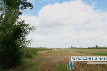 Zakrzew, 190 000 zł, 1.63 ha, droga dojazdowa asfaltowa