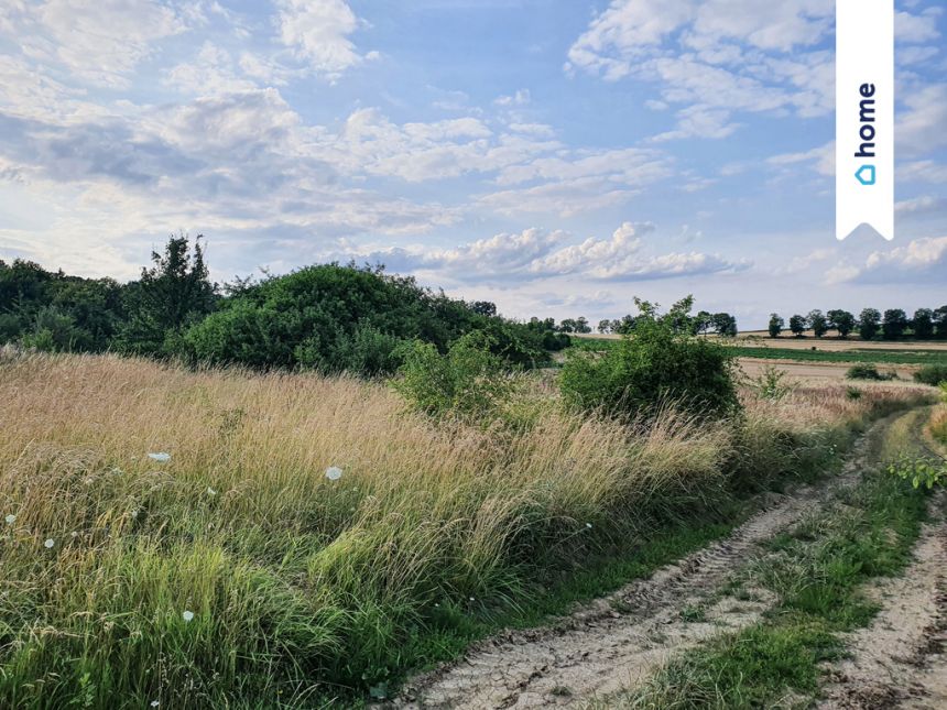 Urocza Działka z WZ w zielonej i spokojnej okolicy miniaturka 6