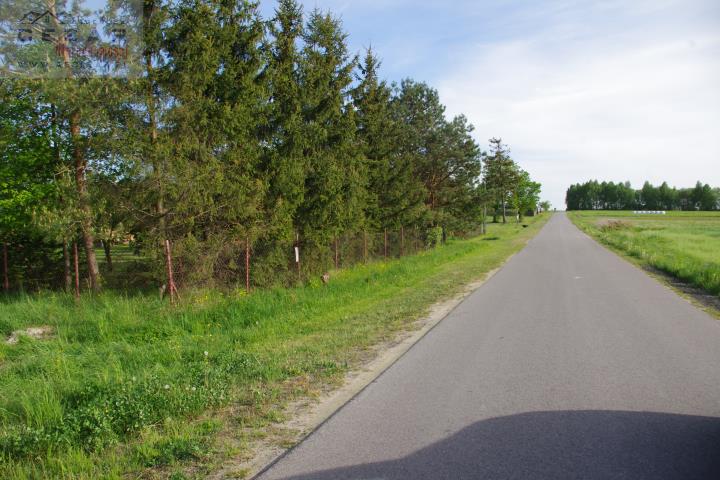Strzebula, 121 000 zł, 1.1 ha, przyłącze wodociągu miniaturka 3