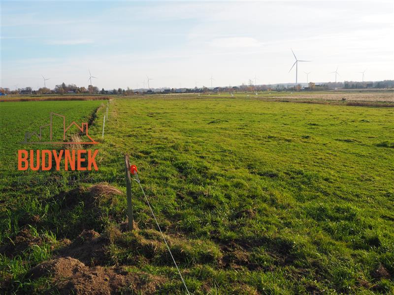 Działka rolna - Krupy miniaturka 10