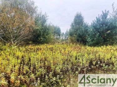 Barcice Drwalewskie, 102 125 zł, 10.75 ar, budowlana