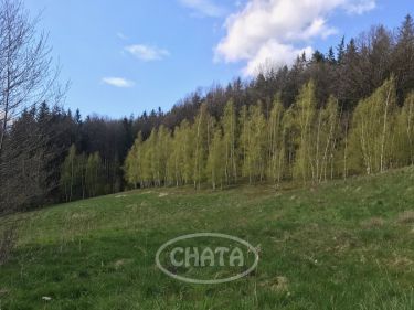 Michałkowa, 119 000 zł, 51.87 ar, rolna