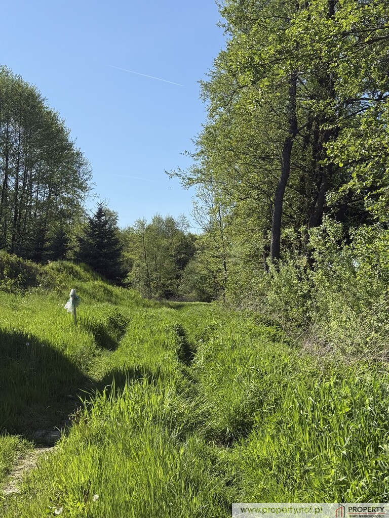 Działki budowlane, Góra Motyczna, gm. Żyraków miniaturka 7