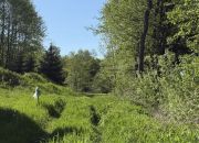 Działki budowlane, Góra Motyczna, gm. Żyraków miniaturka 7