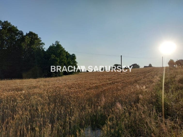 Działka rolna z drewnianym domem Nowa Wieś miniaturka 9