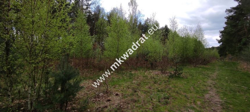 Piękna działka otoczona lasem 2 316 m2, Czarny las miniaturka 5