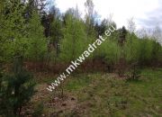 Piękna działka otoczona lasem 2 316 m2, Czarny las miniaturka 5