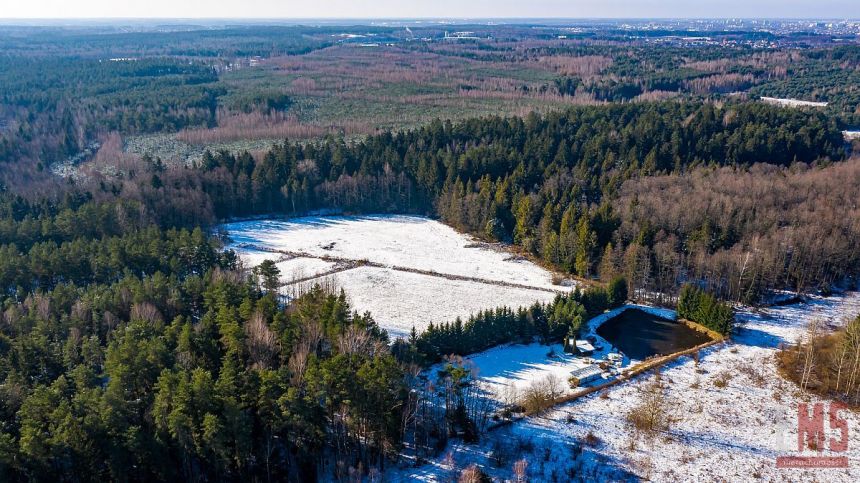 Ciasne, 349 000 zł, 51 ar, prostokątna miniaturka 11