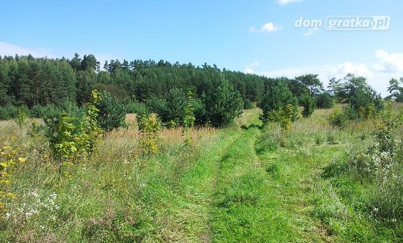 Chmielewo, 260 000 zł, 2.05 ha, przyłącze wodociągu miniaturka 7