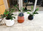 Śródmieście : umeblowane biuro 14,30 m2 miniaturka 7