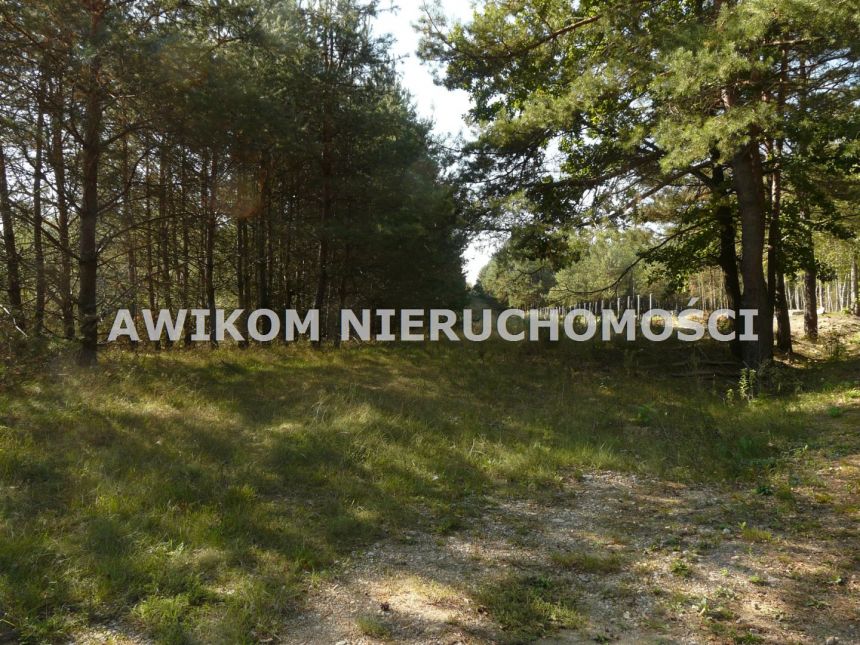 Przewodowice, 299 214 zł, 1.66 ha, droga dojazdowa asfaltowa miniaturka 12