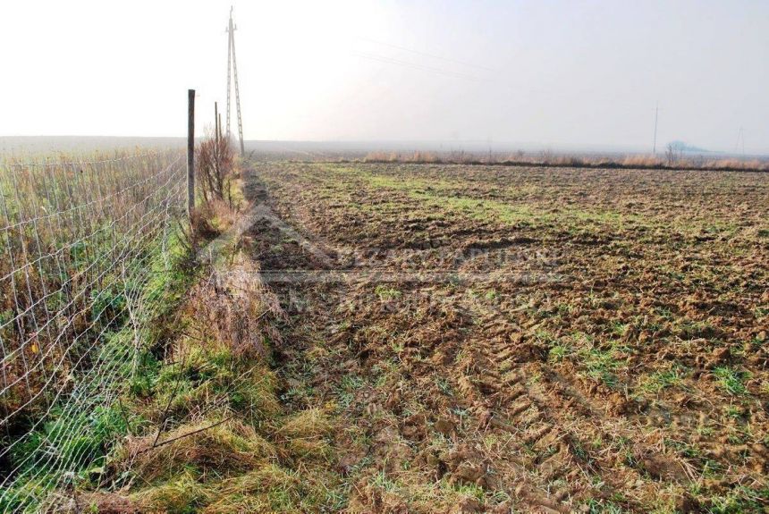 Dziuchów, działka budowlana 1800 mkw., 7 km od Lublina miniaturka 6