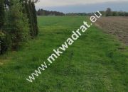 3416m2 Pasikonie k/Kampinosu z warunkami zabudowy! miniaturka 4