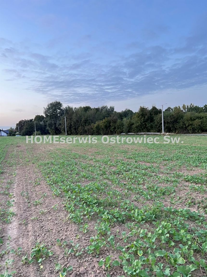 Działka na sprzedaż 3952 m2 Szewna k/Ostrowca miniaturka 5