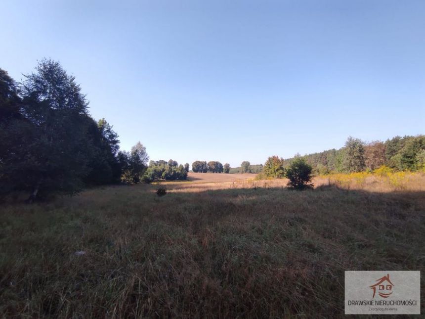 Siemczyno 275 000 zł 1.3 ha miniaturka 9