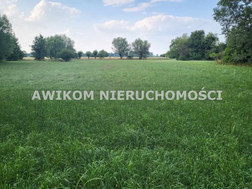 Holendry Baranowskie, 154 840 zł, 11.06 ar, woda w drodze miniaturka 3