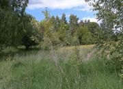Działka budowlana - Graniczna Wieś miniaturka 6
