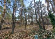 Józefów, 3 200 000 zł, 31.51 ar, przyłącze prądu miniaturka 2