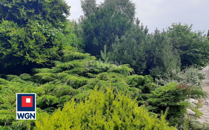 Czeladź Piaski, 1 570 000 zł, 434.3 m2, jednorodzinny miniaturka 5