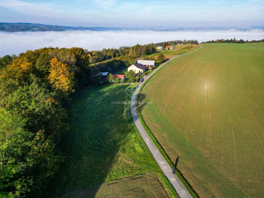 Tylko u nas! Działka z WZ 22 ar, Zaborów miniaturka 5