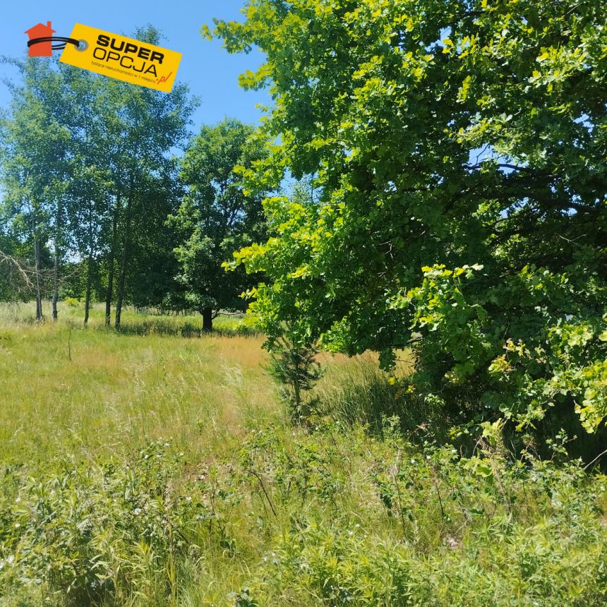 Mogilany, 1 215 000 zł, 38.1 ar, droga dojazdowa utwardzona miniaturka 3