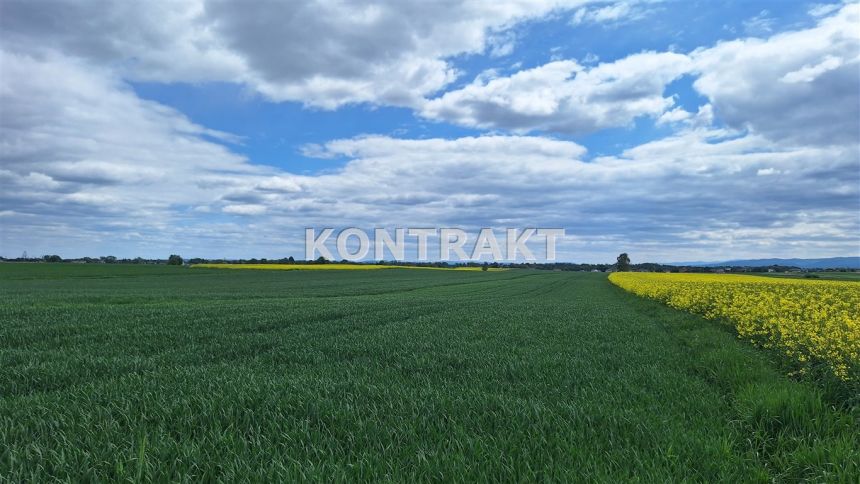 Ładna duża działka z widokiem na pola i góry - zdjęcie 1