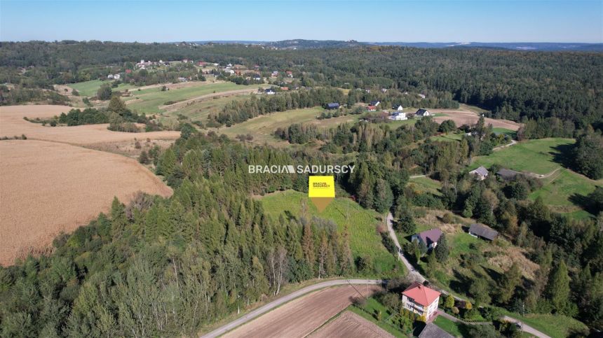Działka budowlana 8900 m2 Poręba Żegoty miniaturka 7