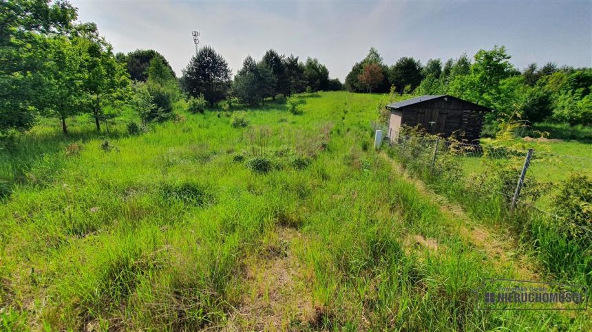 DZIAŁKA BUDOWLANA OK. 200 m OD JEZIORA PILE. miniaturka 9