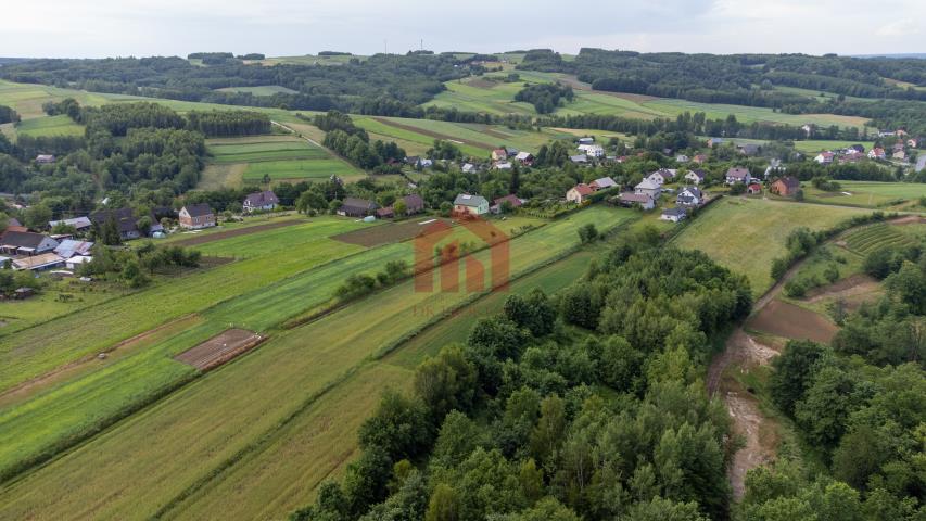 Działka budowlana z widokiem na iglasty las miniaturka 15