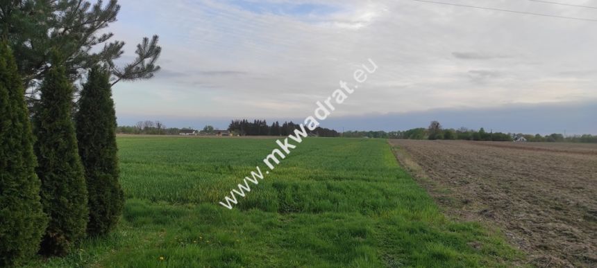 3416m2 Pasikonie k/Kampinosu z warunkami zabudowy! miniaturka 2