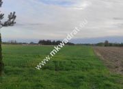3416m2 Pasikonie k/Kampinosu z warunkami zabudowy! miniaturka 2