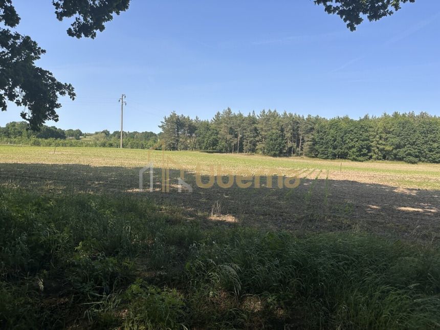 Działka w Radzanku–Gm.Maszewo war.zabud. miniaturka 12