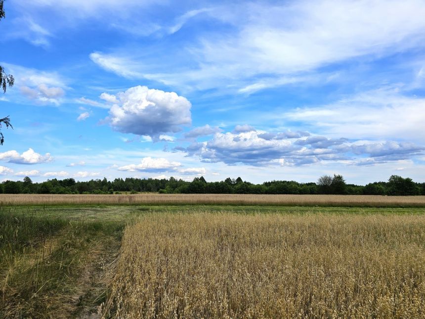 Działki rolne, Leszkowice, gm. Ostrówek miniaturka 4