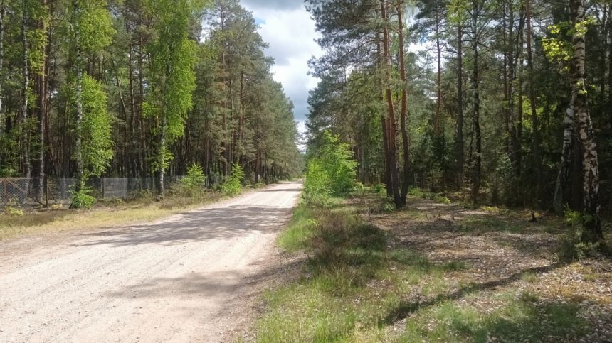 Popowo-Letnisko, 310 000 zł, 60 m2, z drewna miniaturka 9