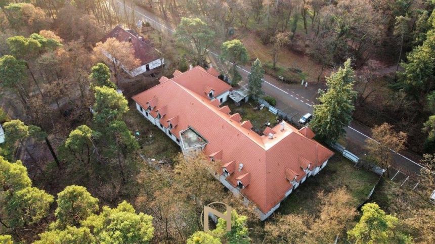 Lubniewice, 2 900 000 zł, 2001.52 m2, handlowo-usługowy miniaturka 4