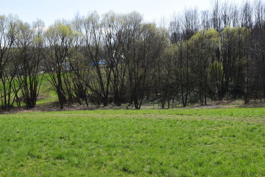 Działka rekreacyjna 40a- Manasterz miniaturka 3