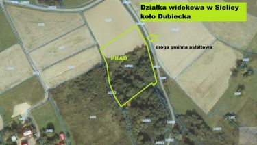 Sielnica koło Dubiecka sprzedam działkę 46 arów