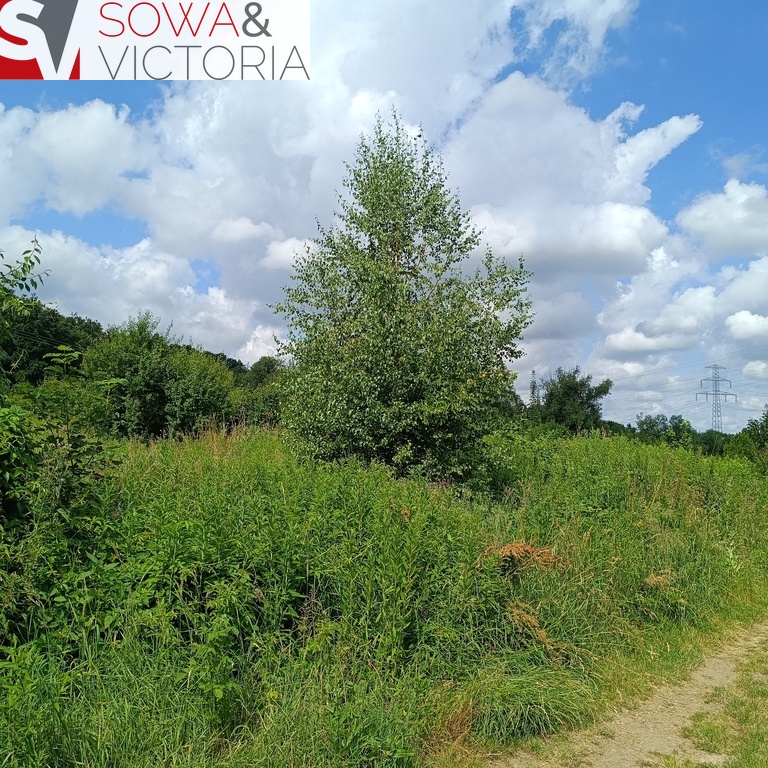 Działka rolna na obrzeżach Świebodzic. miniaturka 3