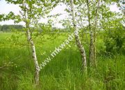 Mokas, 890 000 zł, 2.62 ha, budowlana miniaturka 1