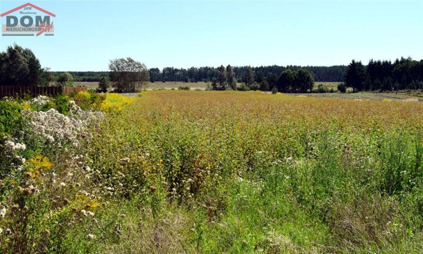 Działka - Wierzchowo miniaturka 9